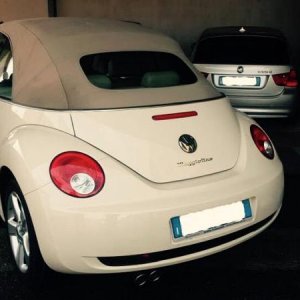 10754765 597669350355961 1592455694 n