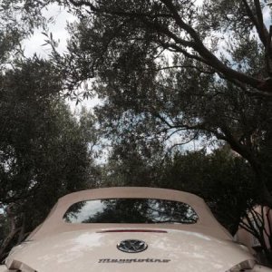 10751986 729050827183071 406278993 n