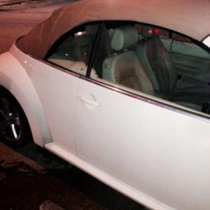 10805121 729050700516417 578257685 n