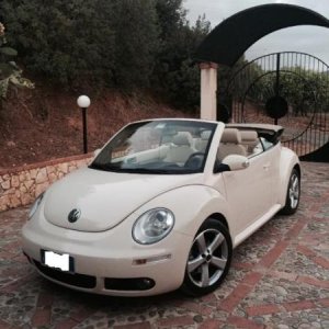 10754863 729050777183076 956606846 n