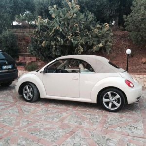 10617322 729050780516409 466572235 n