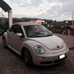 10799726 729050787183075 120956579 n