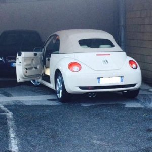 10805235 729050733849747 585217406 n