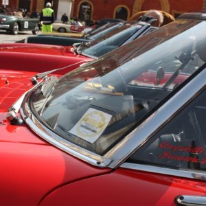 Cento Miglia terre Gonzaghesche