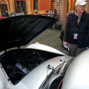 Cento Miglia terre Gonzaghesche