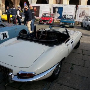 Cento Miglia terre Gonzaghesche