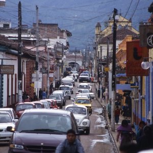 Maggiolino messicano.