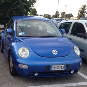 10525795 563598313774571 4019388218462452535 n