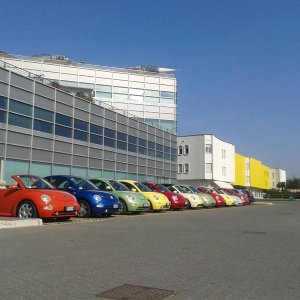 Raduno d'autunno 2014 Borghetto VR