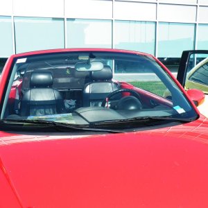 Raduno d'autunno 2014 Borghetto VR