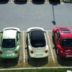 Raduno d'autunno 2014 Borghetto VR