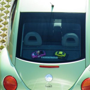 Raduno d'autunno 2014 Borghetto VR