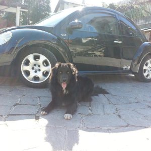 La mia NIU e la sua GUARDIA DEL CORPO