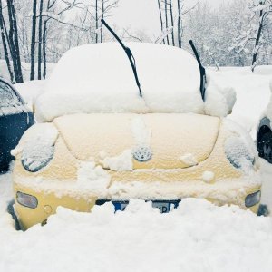 New Beetle delle nevi