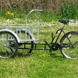 Raduno short di primavera a Lucca :-)