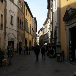 Raduno short di primavera a Lucca :-)