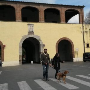 Raduno short di primavera a Lucca :-)