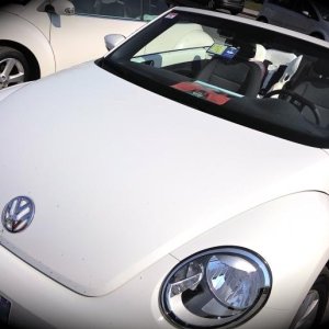 il mio beetle