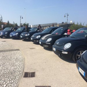 31 raduno nazionale Beetleclub