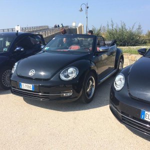 31 raduno nazionale Beetleclub