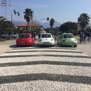 31 raduno nazionale Beetleclub