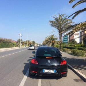 31 raduno nazionale Beetleclub