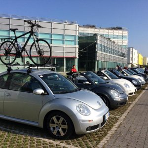 30 raduno Beetleclub Borghetto VR