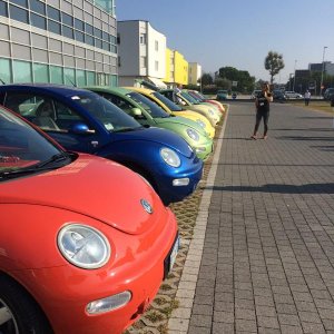 30 raduno Beetleclub Borghetto VR