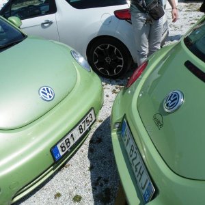 L'incontro delle verdi