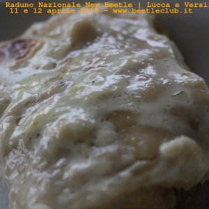 new beetle raduno lucca-versilia 20150412-28