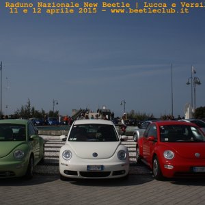 new beetle raduno lucca-versilia 20150412-70