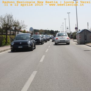 new beetle raduno lucca-versilia 20150412-80