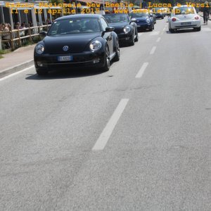 new beetle raduno lucca-versilia 20150412-81