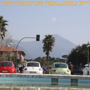 new beetle raduno lucca-versilia 20150412-76