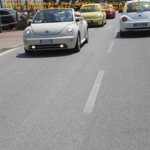 new beetle raduno lucca-versilia 20150412-3