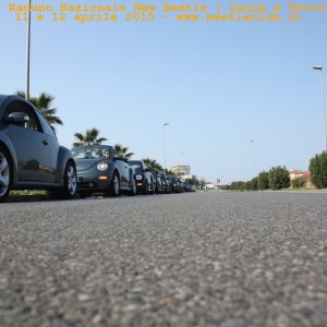 new beetle raduno lucca-versilia 20150412-61