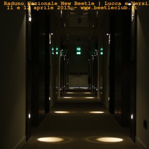 new beetle raduno lucca-versilia 20150412-0