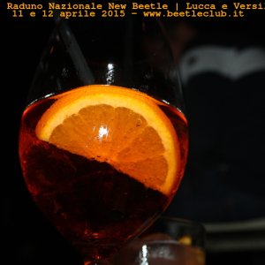 new beetle raduno lucca-versilia 20150412-43