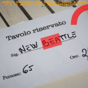 new beetle raduno lucca-versilia 20150412-41