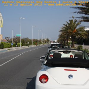 new beetle raduno lucca-versilia 20150412-62