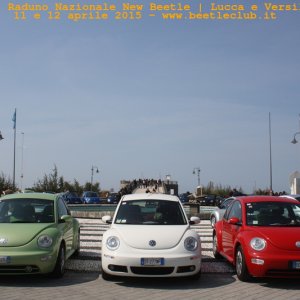 new beetle raduno lucca-versilia 20150412-77