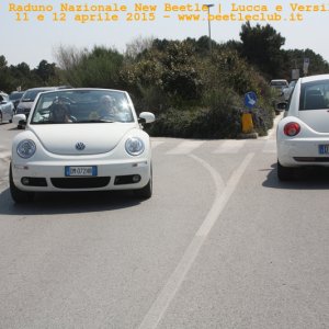new beetle raduno lucca-versilia 20150412-84