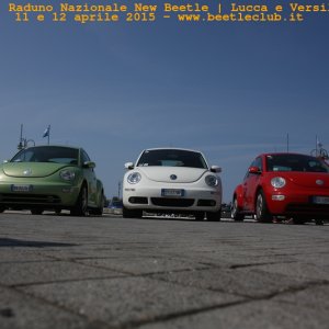 new beetle raduno lucca-versilia 20150412-69