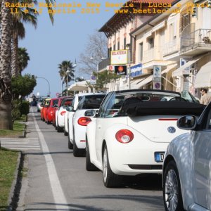 new beetle raduno lucca-versilia 20150412-68