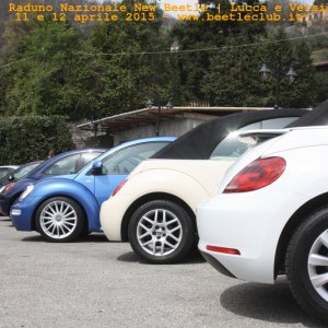 new beetle raduno lucca-versilia 20150412-22