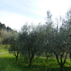 p1030038 fileminimizer