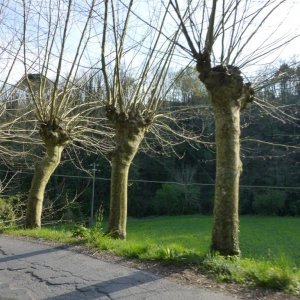 p1030046 fileminimizer