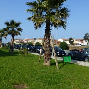 p1030071 fileminimizer