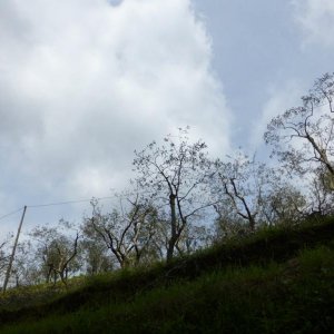 p1030015 fileminimizer