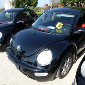 p1030101 fileminimizer